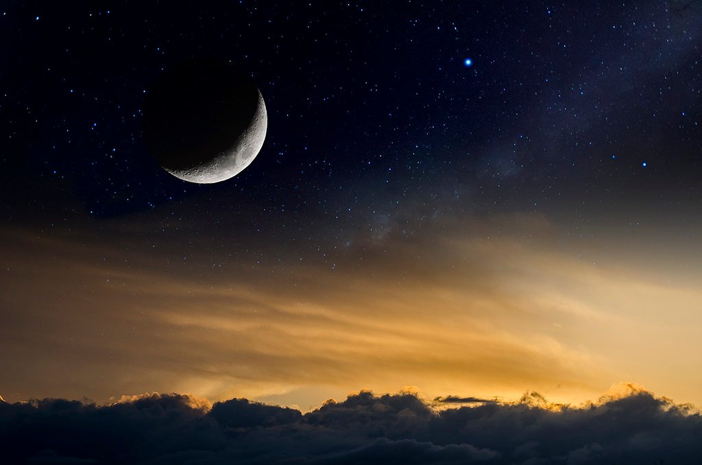 living cosmos